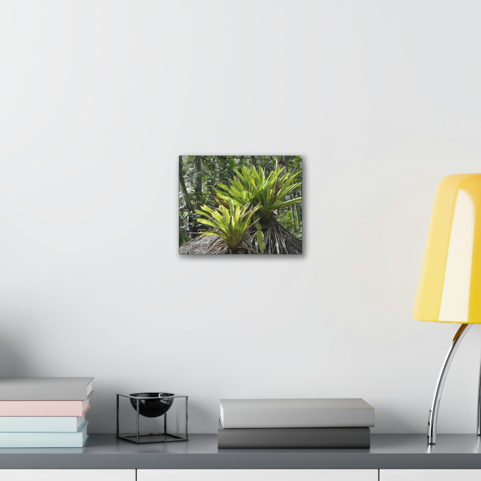 Deals on Thin Canvas - Stretched, 0.75" - Small Sizes Horizontal - Ideal for Wall Forest Mosaics - Bromeliads on Boulder - Rio Sabana Trail - Green Forest Home