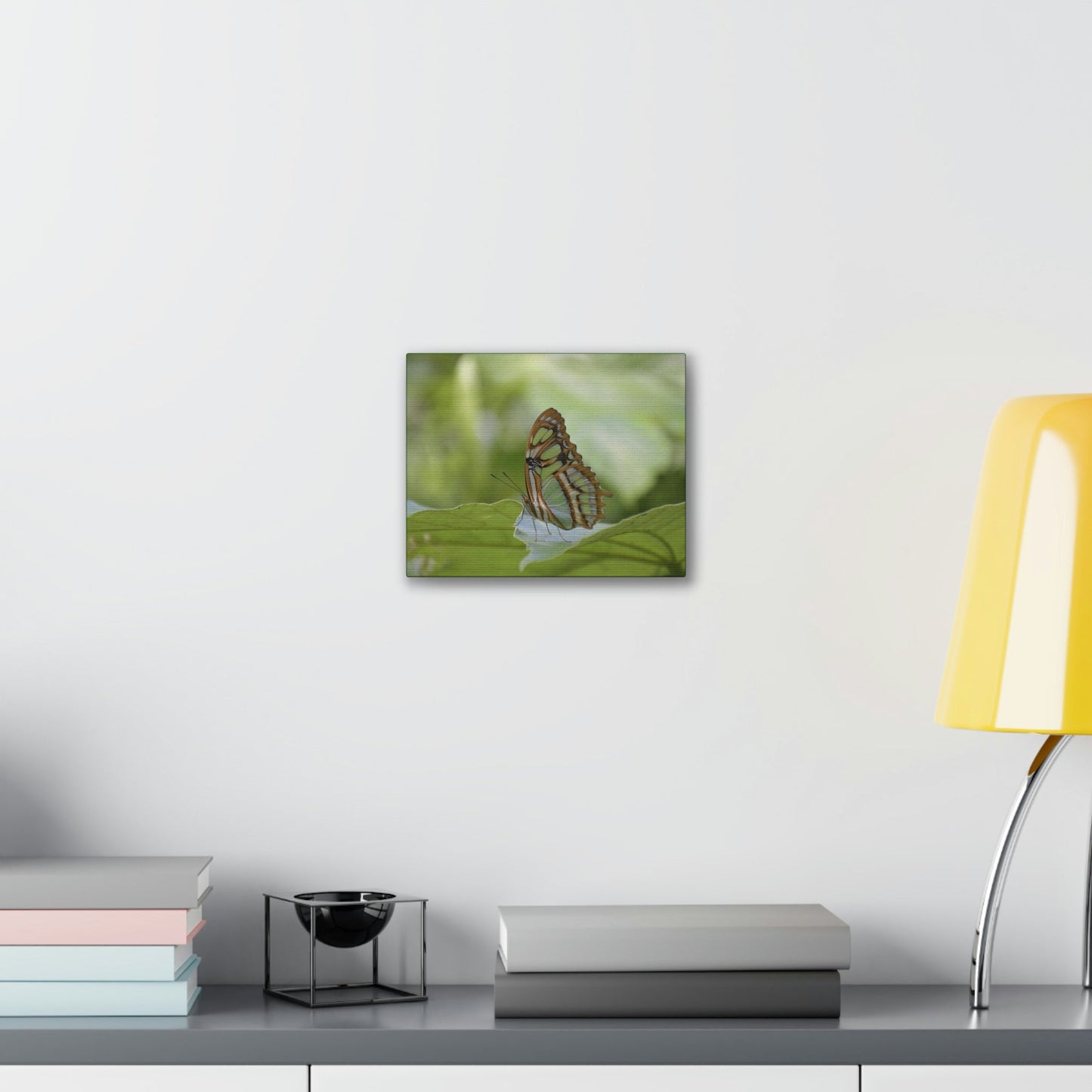 Deals on Thin Canvas - Stretched, 0.75" - Small Sizes Horizontal - Ideal for Wall Forest Mosaics - Butterfly next to Rio Cubuy - Green Forest Home