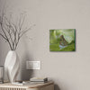 Deals on Thin Canvas - Stretched, 0.75" - Small Sizes Horizontal - Ideal for Wall Forest Mosaics - Butterfly next to Rio Cubuy - Green Forest Home