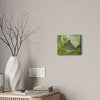 Deals on Thin Canvas - Stretched, 0.75" - Small Sizes Horizontal - Ideal for Wall Forest Mosaics - Butterfly next to Rio Cubuy - Green Forest Home