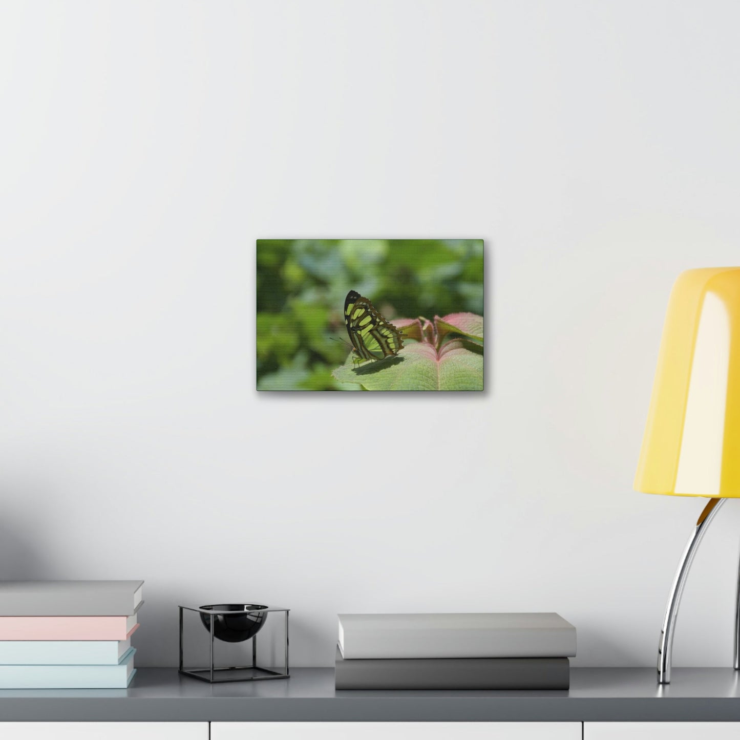 Deals on Thin Canvas - Stretched, 0.75" - Small Sizes Horizontal - Ideal for Wall Forest Mosaics - Butterfly on Rio Cubuy - Green Forest Home