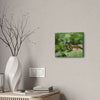 Deals on Thin Canvas - Stretched, 0.75" - Small Sizes Horizontal - Ideal for Wall Forest Mosaics - Butterfly on Rio Cubuy - Green Forest Home