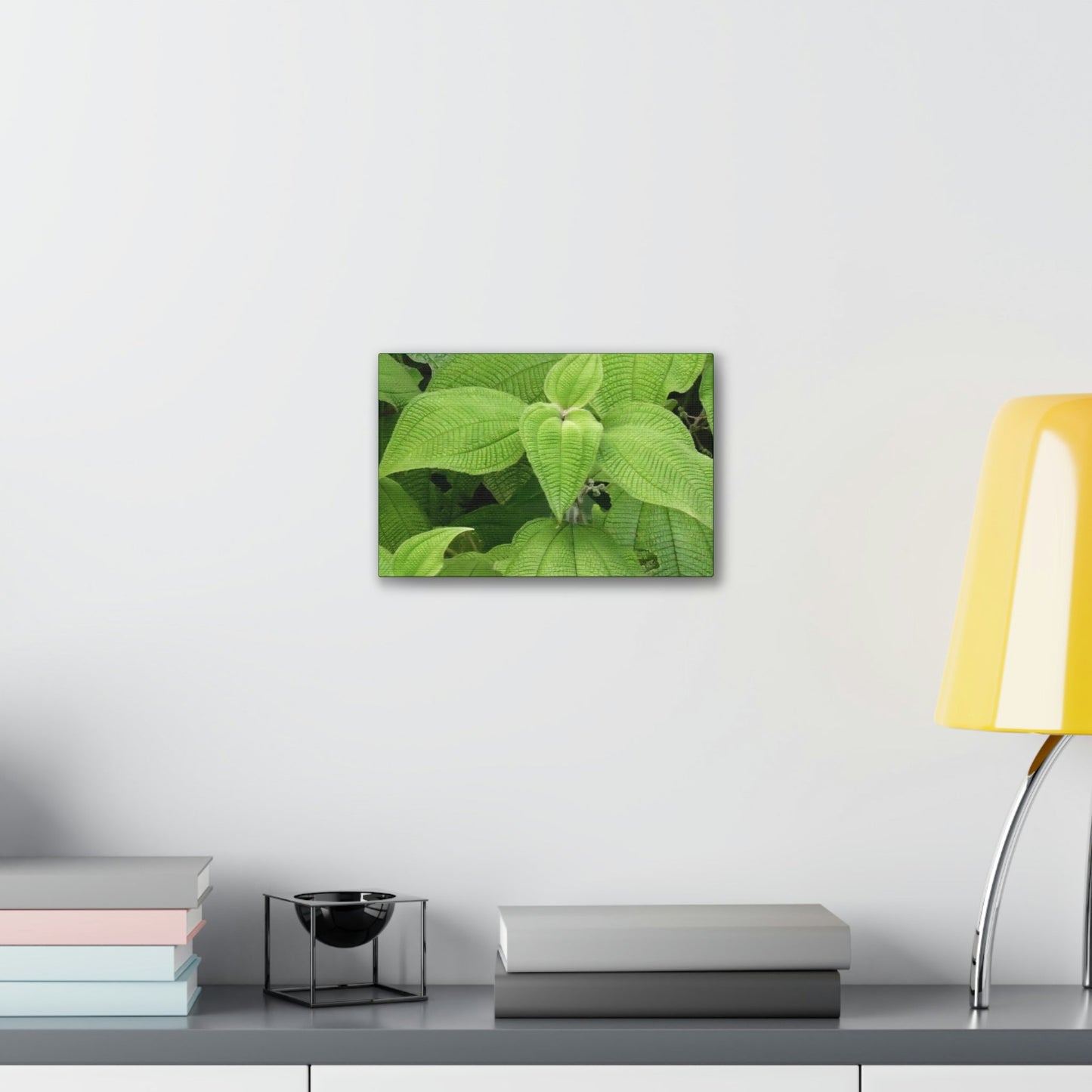 Deals on Thin Canvas - Stretched, 0.75" - Small Sizes Horizontal - Ideal for Wall Forest Mosaics - Cluster of Common Yunque Plants - Green Forest Home