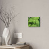 Deals on Thin Canvas - Stretched, 0.75" - Small Sizes Horizontal - Ideal for Wall Forest Mosaics - Cluster of Common Yunque Plants - Green Forest Home