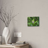 Deals on Thin Canvas - Stretched, 0.75" - Small Sizes Horizontal - Ideal for Wall Forest Mosaics - Cluster of Common Yunque Plants - Green Forest Home