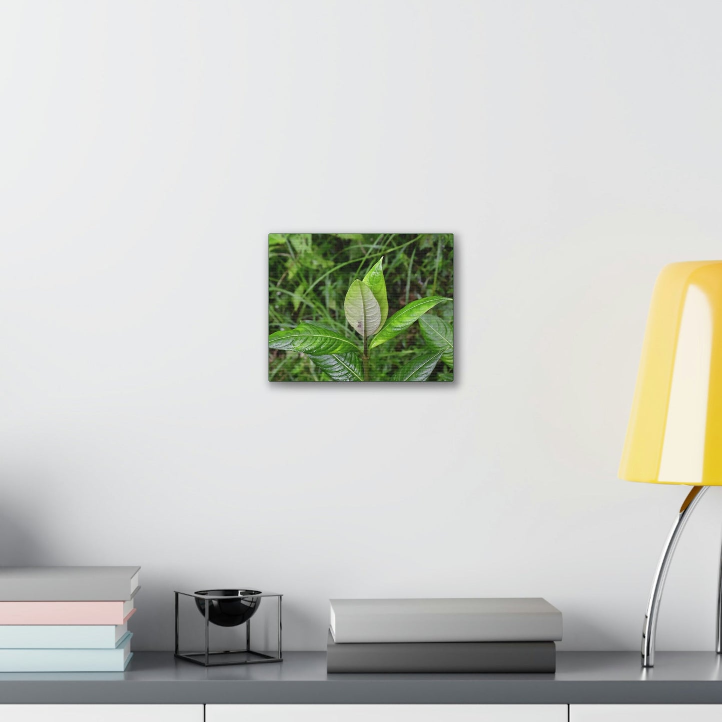 Deals on Thin Canvas - Stretched, 0.75" - Small Sizes Horizontal - Ideal for Wall Forest Mosaics - Cluster of Common Yunque Plants - Green Forest Home