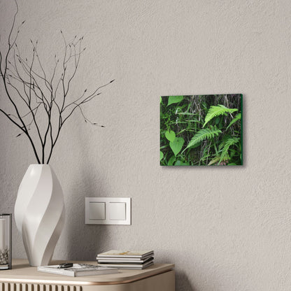 Deals on Thin Canvas - Stretched, 0.75" - Small Sizes Horizontal - Ideal for Wall Forest Mosaics - Cluster of Fern Leaves - Green Forest Home