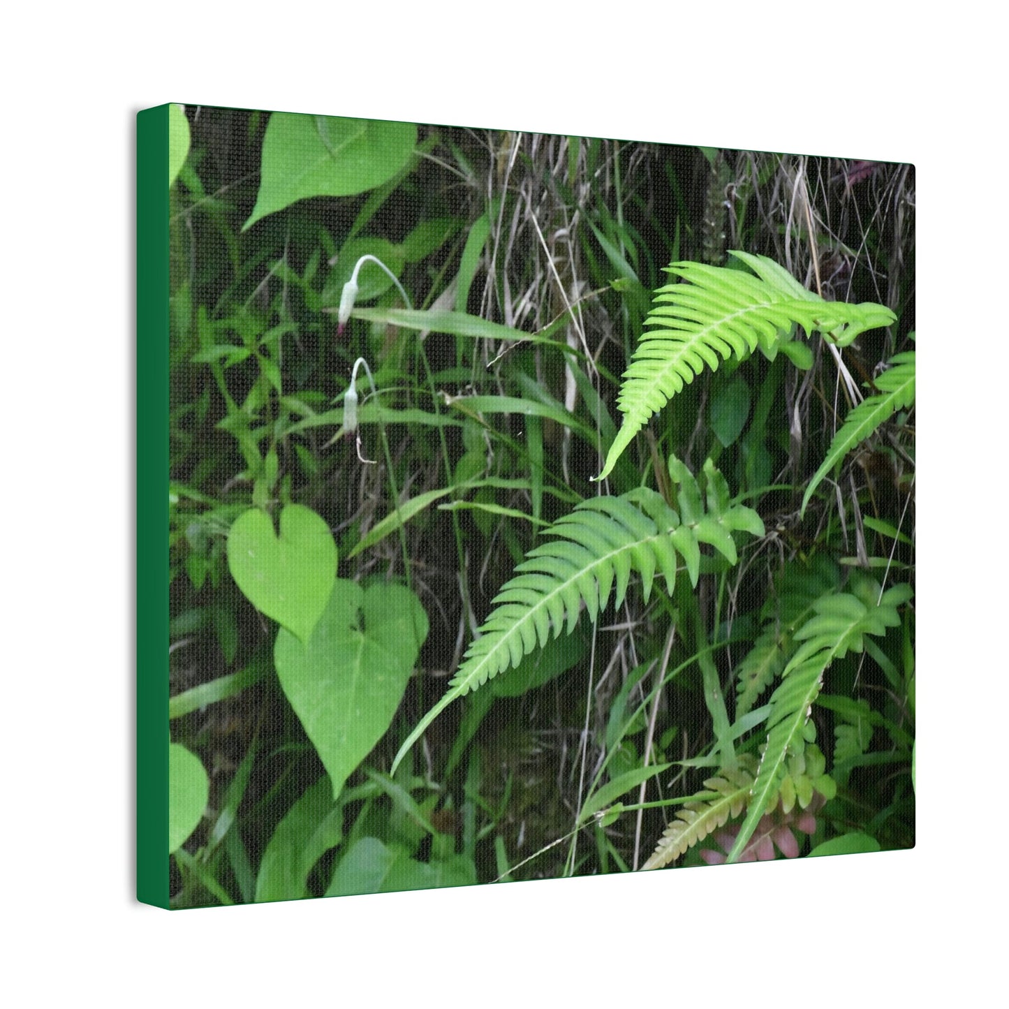 Deals on Thin Canvas - Stretched, 0.75" - Small Sizes Horizontal - Ideal for Wall Forest Mosaics - Cluster of Fern Leaves - Green Forest Home