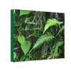 Deals on Thin Canvas - Stretched, 0.75" - Small Sizes Horizontal - Ideal for Wall Forest Mosaics - Cluster of Fern Leaves - Green Forest Home