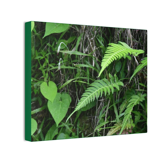 Deals on Thin Canvas - Stretched, 0.75" - Small Sizes Horizontal - Ideal for Wall Forest Mosaics - Cluster of Fern Leaves - Green Forest Home