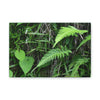 Deals on Thin Canvas - Stretched, 0.75" - Small Sizes Horizontal - Ideal for Wall Forest Mosaics - Cluster of Fern Leaves - Green Forest Home