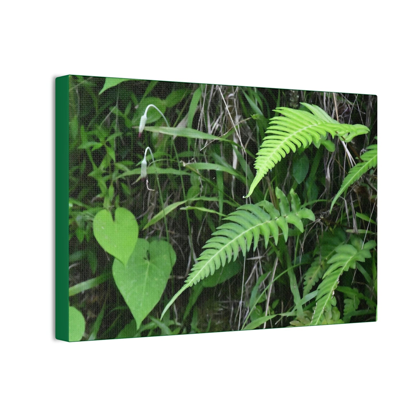 Deals on Thin Canvas - Stretched, 0.75" - Small Sizes Horizontal - Ideal for Wall Forest Mosaics - Cluster of Fern Leaves - Green Forest Home