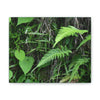 Deals on Thin Canvas - Stretched, 0.75" - Small Sizes Horizontal - Ideal for Wall Forest Mosaics - Cluster of Fern Leaves - Green Forest Home