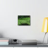 Deals on Thin Canvas - Stretched, 0.75" - Small Sizes Horizontal - Ideal for Wall Forest Mosaics - Common Fern Plant - Green Forest Home
