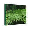 Deals on Thin Canvas - Stretched, 0.75" - Small Sizes Horizontal - Ideal for Wall Forest Mosaics - Common Fern Plant - Green Forest Home