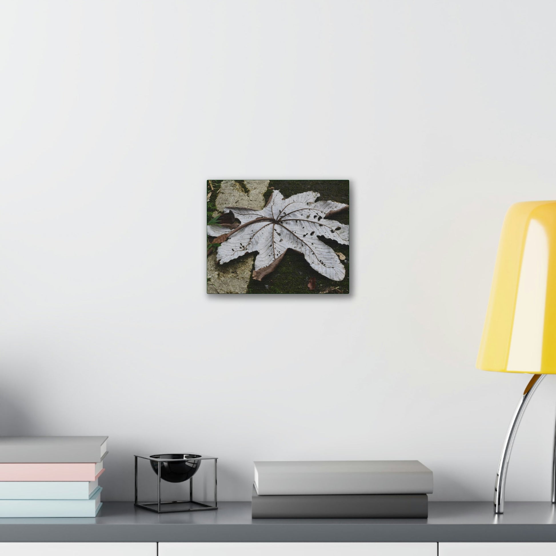 Deals on Thin Canvas - Stretched, 0.75" - Small Sizes Horizontal - Ideal for Wall Forest Mosaics - Decaying Yagrumo Tree leaf - Green Forest Home