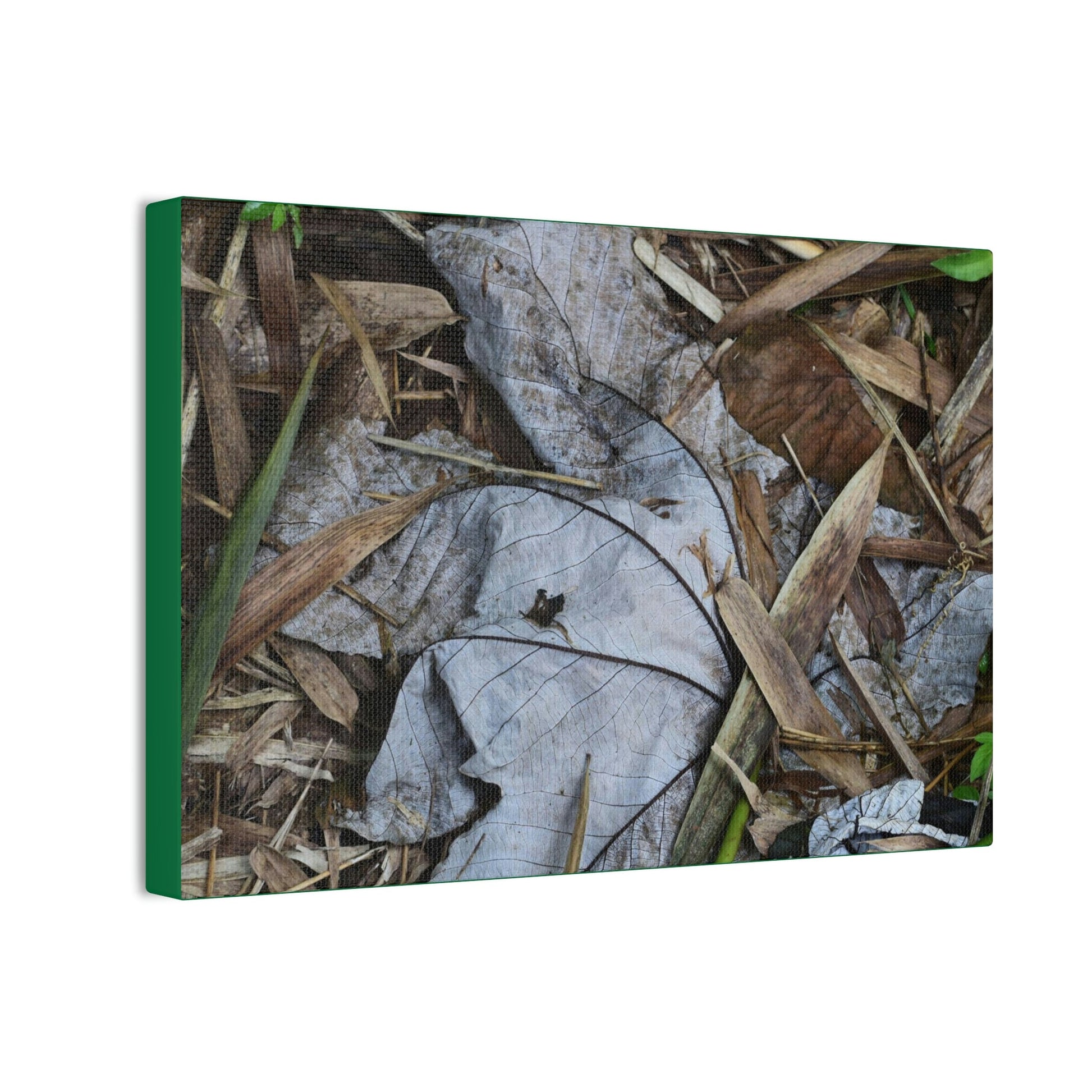 Deals on Thin Canvas - Stretched, 0.75" - Small Sizes Horizontal - Ideal for Wall Forest Mosaics - Dry Bamboo and Yagrumo leaves - Green Forest Home