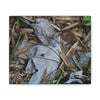 Deals on Thin Canvas - Stretched, 0.75" - Small Sizes Horizontal - Ideal for Wall Forest Mosaics - Dry Bamboo and Yagrumo leaves - Green Forest Home