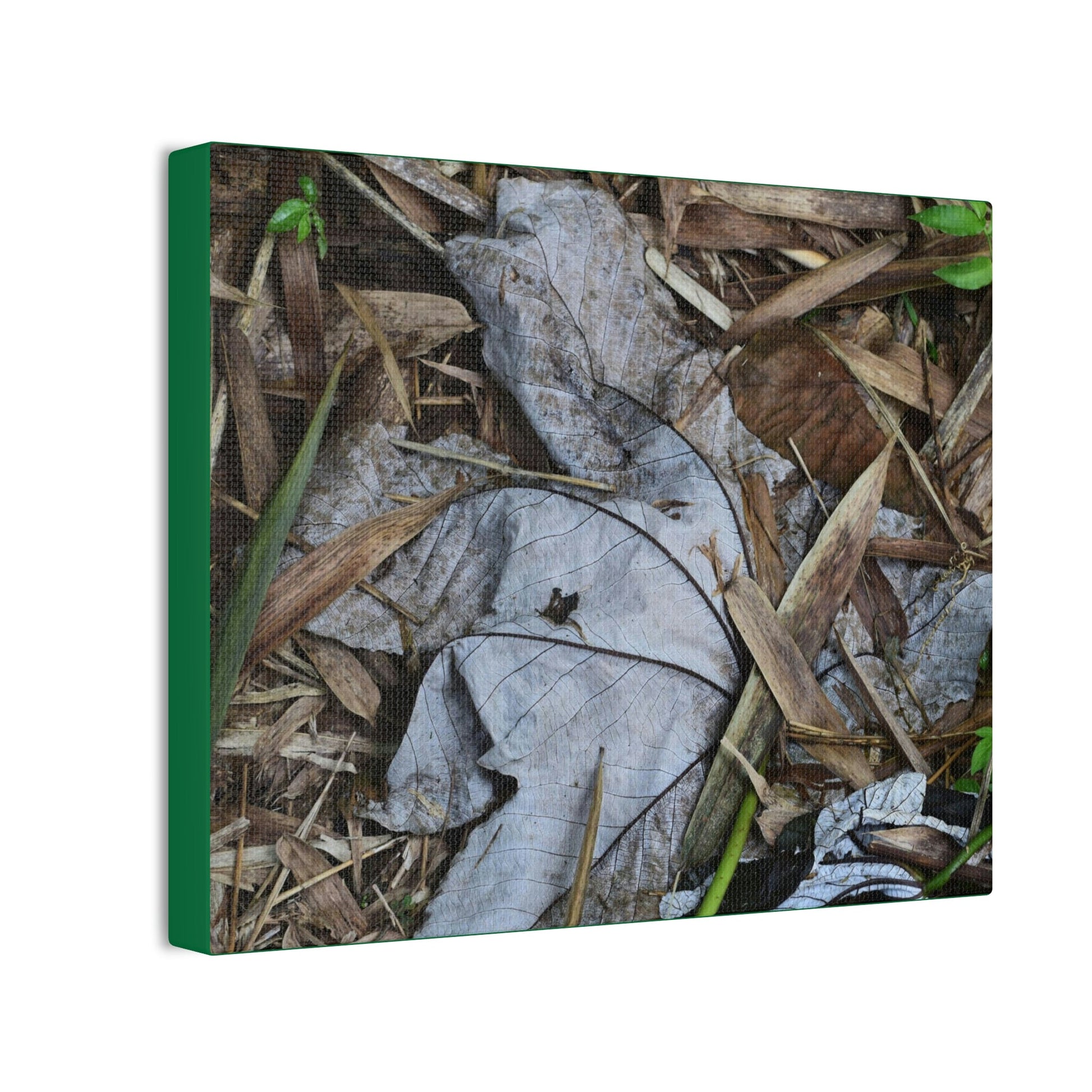 Deals on Thin Canvas - Stretched, 0.75" - Small Sizes Horizontal - Ideal for Wall Forest Mosaics - Dry Bamboo and Yagrumo leaves - Green Forest Home