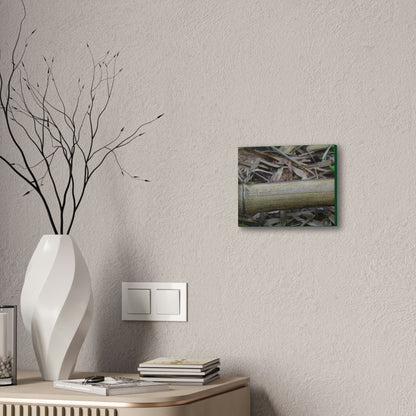 Deals on Thin Canvas - Stretched, 0.75" - Small Sizes Horizontal - Ideal for Wall Forest Mosaics - Dry Bamboo trunk and leaves - Green Forest Home