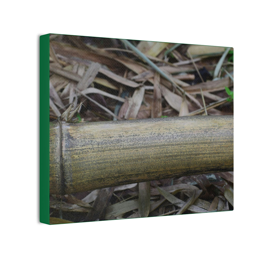 Deals on Thin Canvas - Stretched, 0.75" - Small Sizes Horizontal - Ideal for Wall Forest Mosaics - Dry Bamboo trunk and leaves - Green Forest Home