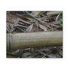 Deals on Thin Canvas - Stretched, 0.75" - Small Sizes Horizontal - Ideal for Wall Forest Mosaics - Dry Bamboo trunk and leaves - Green Forest Home