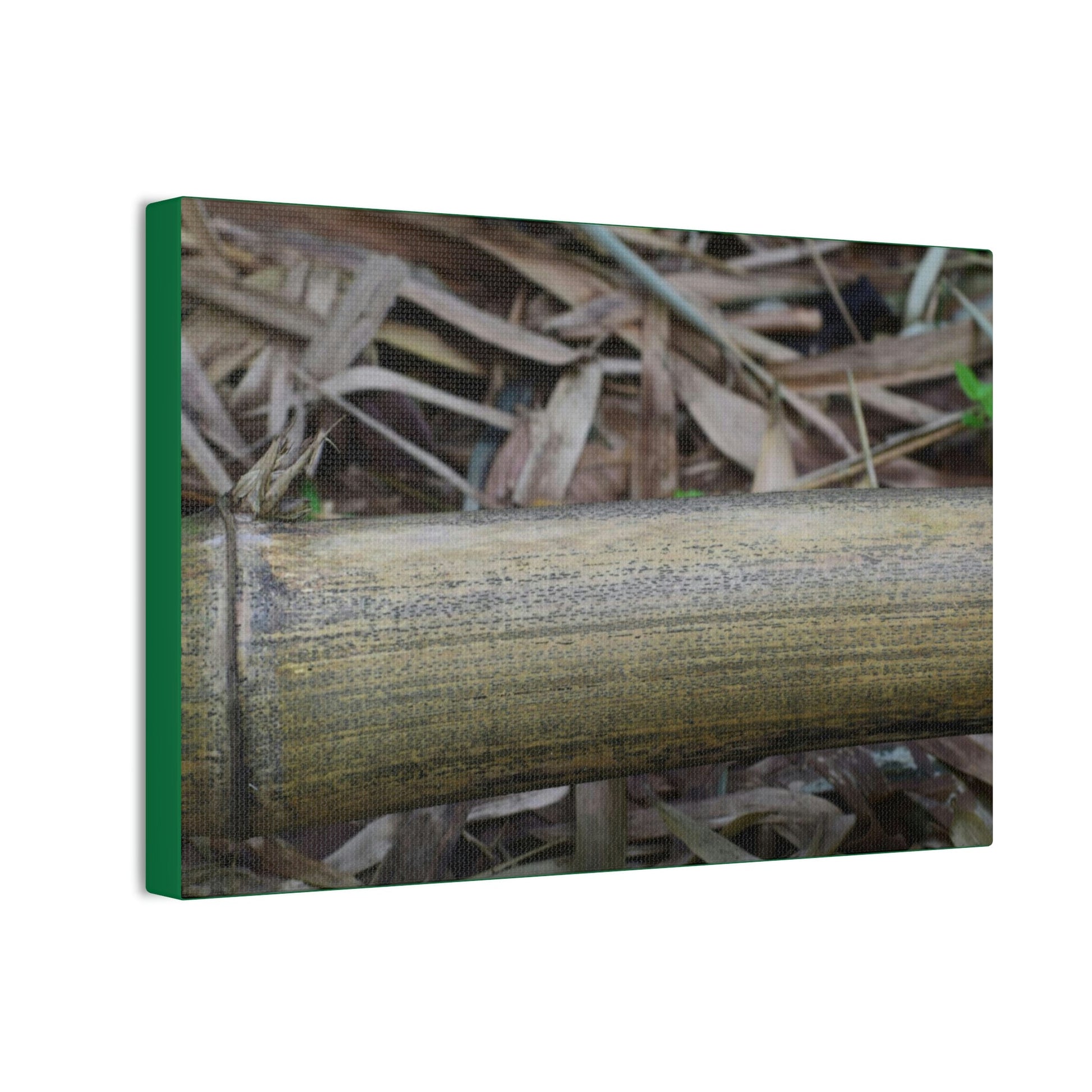 Deals on Thin Canvas - Stretched, 0.75" - Small Sizes Horizontal - Ideal for Wall Forest Mosaics - Dry Bamboo trunk and leaves - Green Forest Home