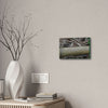Deals on Thin Canvas - Stretched, 0.75" - Small Sizes Horizontal - Ideal for Wall Forest Mosaics - Dry Bamboo trunk and leaves - Green Forest Home