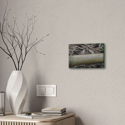Deals on Thin Canvas - Stretched, 0.75" - Small Sizes Horizontal - Ideal for Wall Forest Mosaics - Dry Bamboo trunk and leaves - Green Forest Home