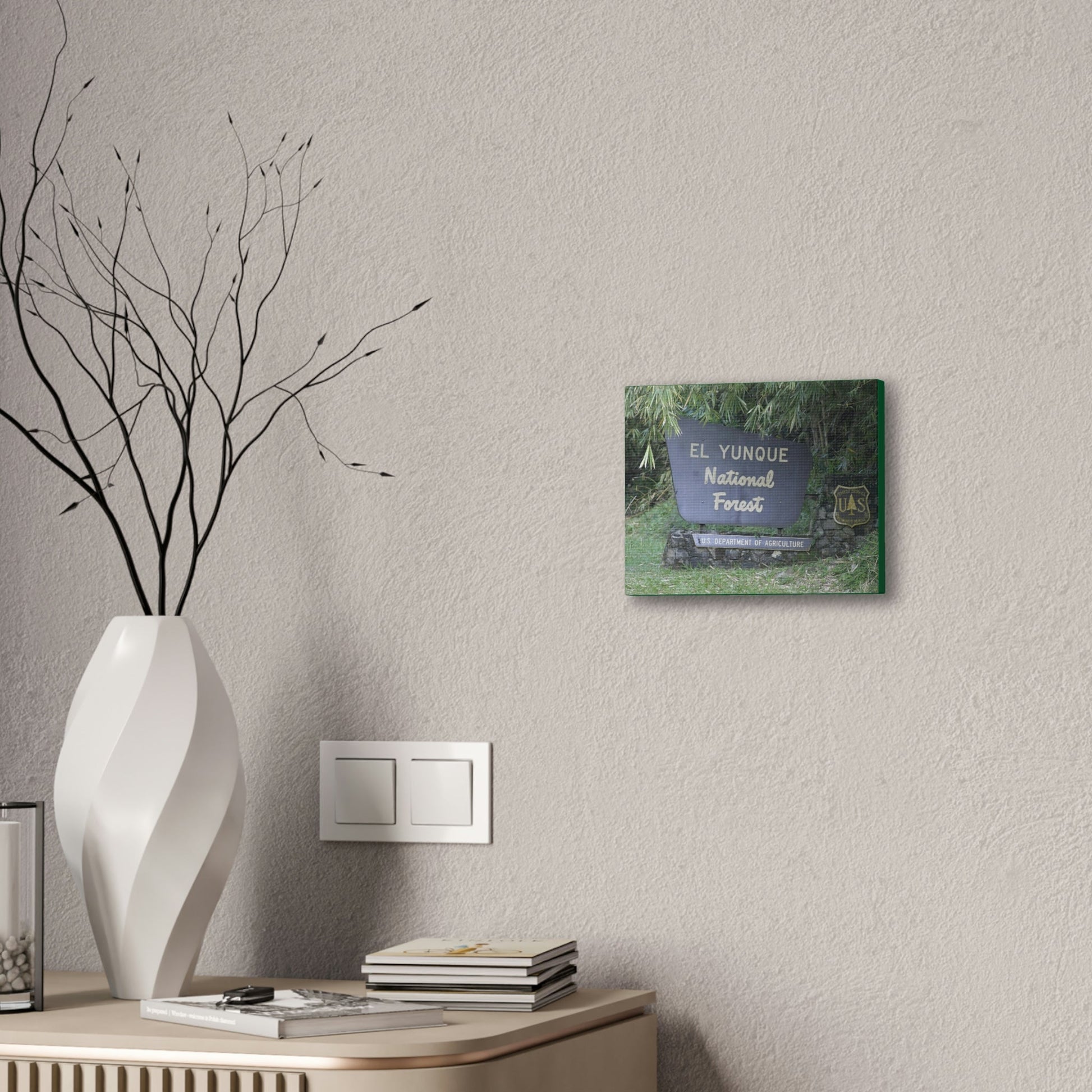 Deals on Thin Canvas - Stretched, 0.75" - Small Sizes Horizontal - Ideal for Wall Forest Mosaics - EYNF Entrance Sign - Rio Sabana Park - Green Forest Home