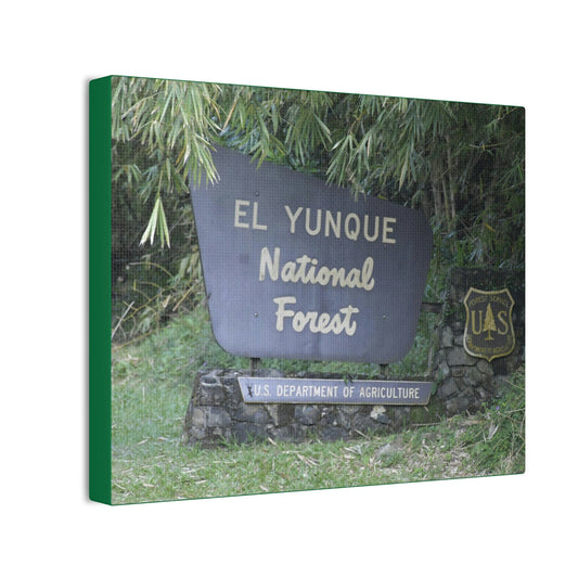 Deals on Thin Canvas - Stretched, 0.75" - Small Sizes Horizontal - Ideal for Wall Forest Mosaics - EYNF Entrance Sign - Rio Sabana Park - Green Forest Home
