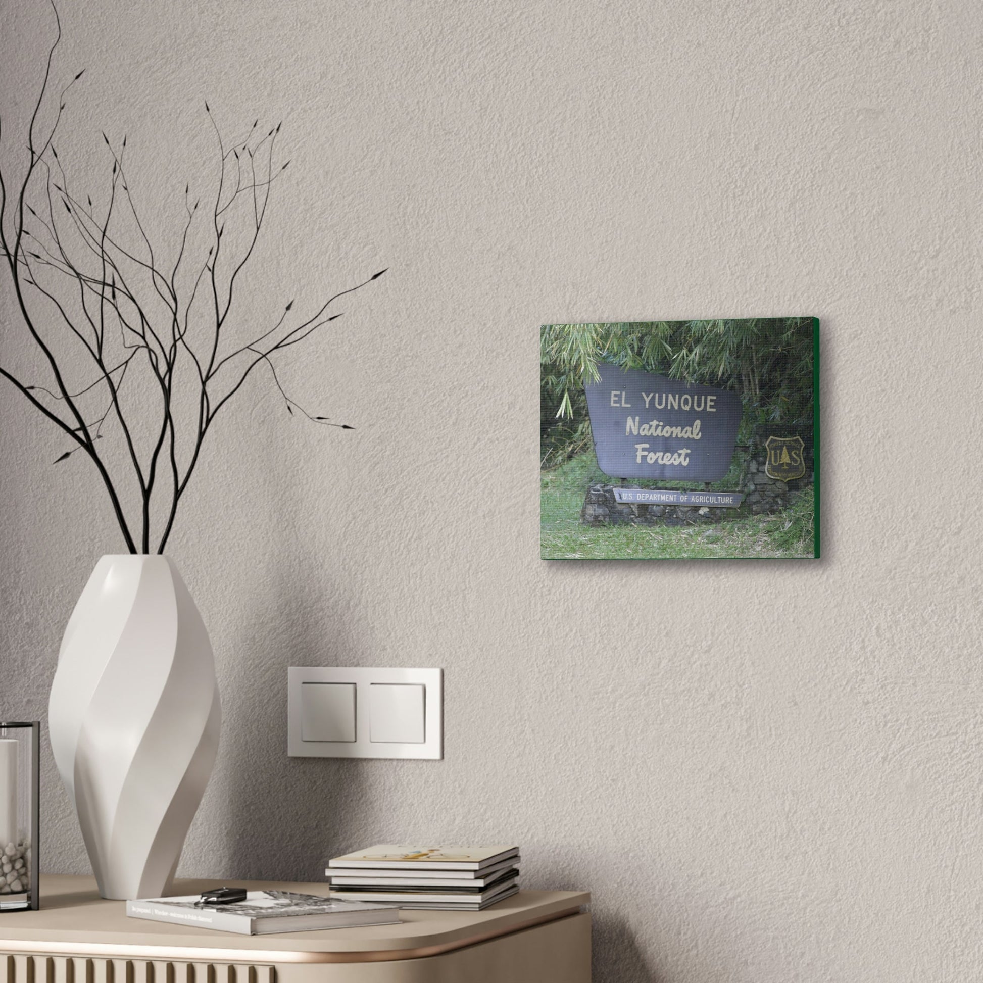Deals on Thin Canvas - Stretched, 0.75" - Small Sizes Horizontal - Ideal for Wall Forest Mosaics - EYNF Entrance Sign - Rio Sabana Park - Green Forest Home