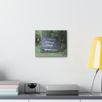 Deals on Thin Canvas - Stretched, 0.75" - Small Sizes Horizontal - Ideal for Wall Forest Mosaics - EYNF Entrance Sign - Rio Sabana Park - Green Forest Home