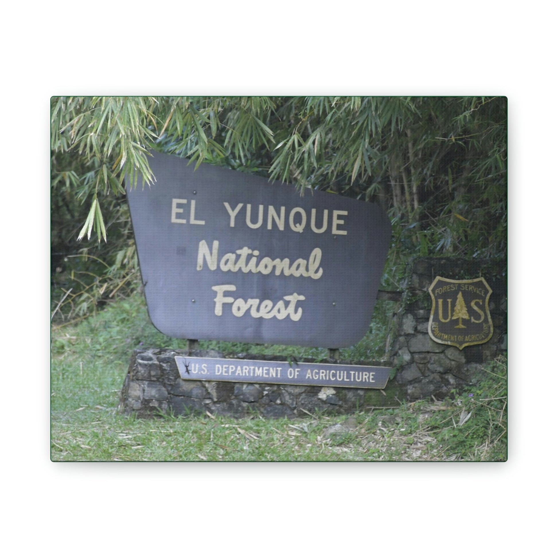 Deals on Thin Canvas - Stretched, 0.75" - Small Sizes Horizontal - Ideal for Wall Forest Mosaics - EYNF Entrance Sign - Rio Sabana Park - Green Forest Home