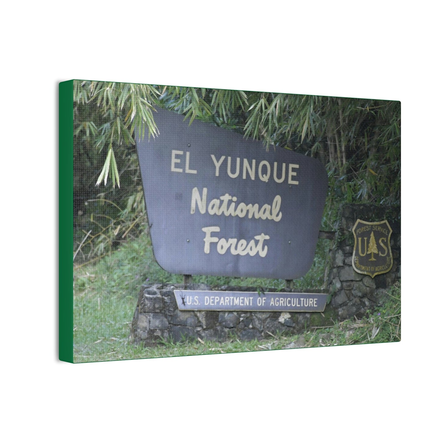 Deals on Thin Canvas - Stretched, 0.75" - Small Sizes Horizontal - Ideal for Wall Forest Mosaics - EYNF Entrance Sign - Rio Sabana Park - Green Forest Home