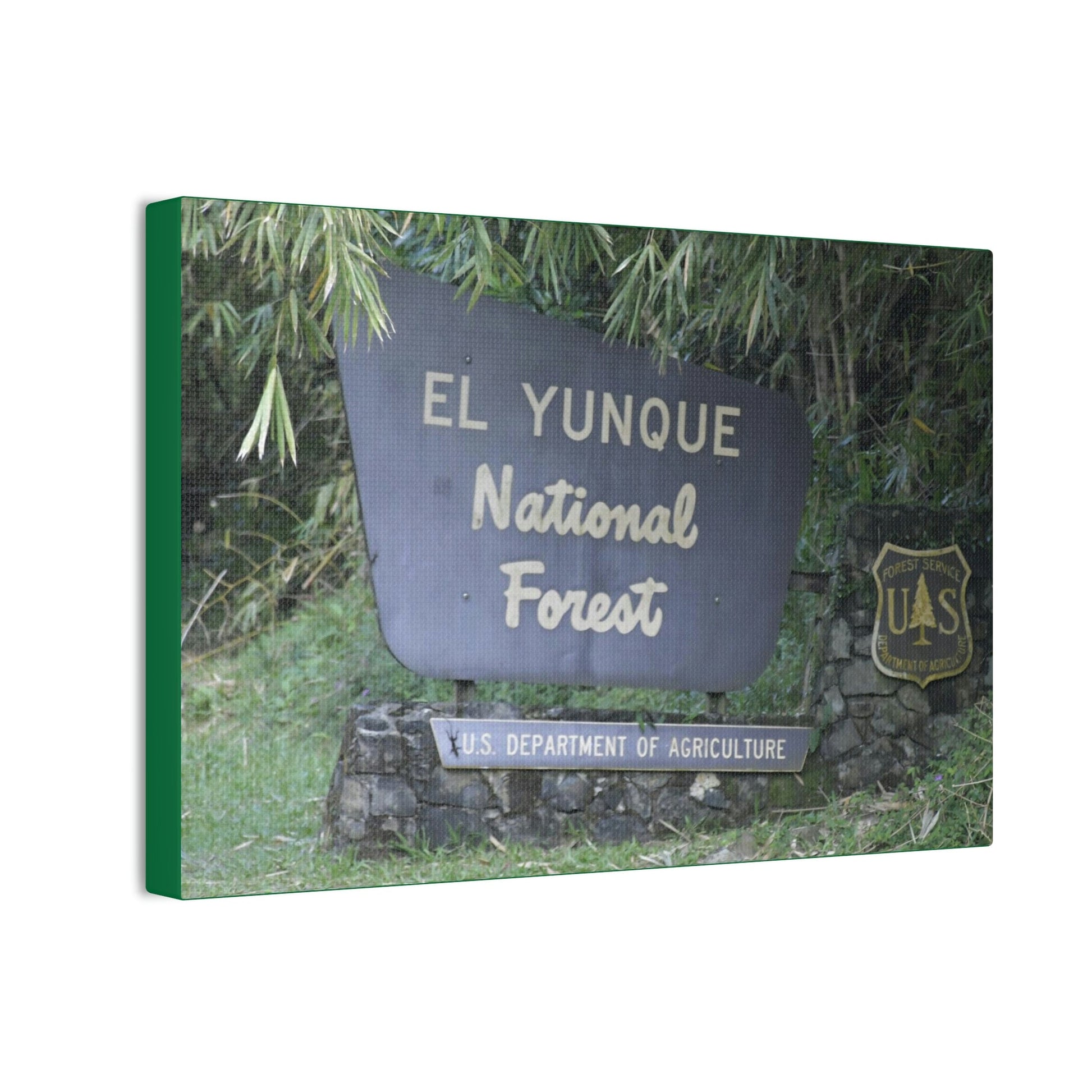 Deals on Thin Canvas - Stretched, 0.75" - Small Sizes Horizontal - Ideal for Wall Forest Mosaics - EYNF Entrance Sign - Rio Sabana Park - Green Forest Home