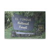 Deals on Thin Canvas - Stretched, 0.75" - Small Sizes Horizontal - Ideal for Wall Forest Mosaics - EYNF Entrance Sign - Rio Sabana Park - Green Forest Home