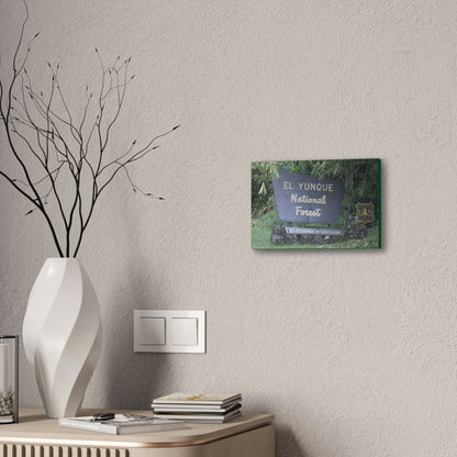 Deals on Thin Canvas - Stretched, 0.75" - Small Sizes Horizontal - Ideal for Wall Forest Mosaics - EYNF Entrance Sign - Rio Sabana Park - Green Forest Home