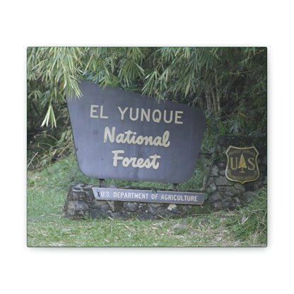 Deals on Thin Canvas - Stretched, 0.75" - Small Sizes Horizontal - Ideal for Wall Forest Mosaics - EYNF Entrance Sign - Rio Sabana Park - Green Forest Home