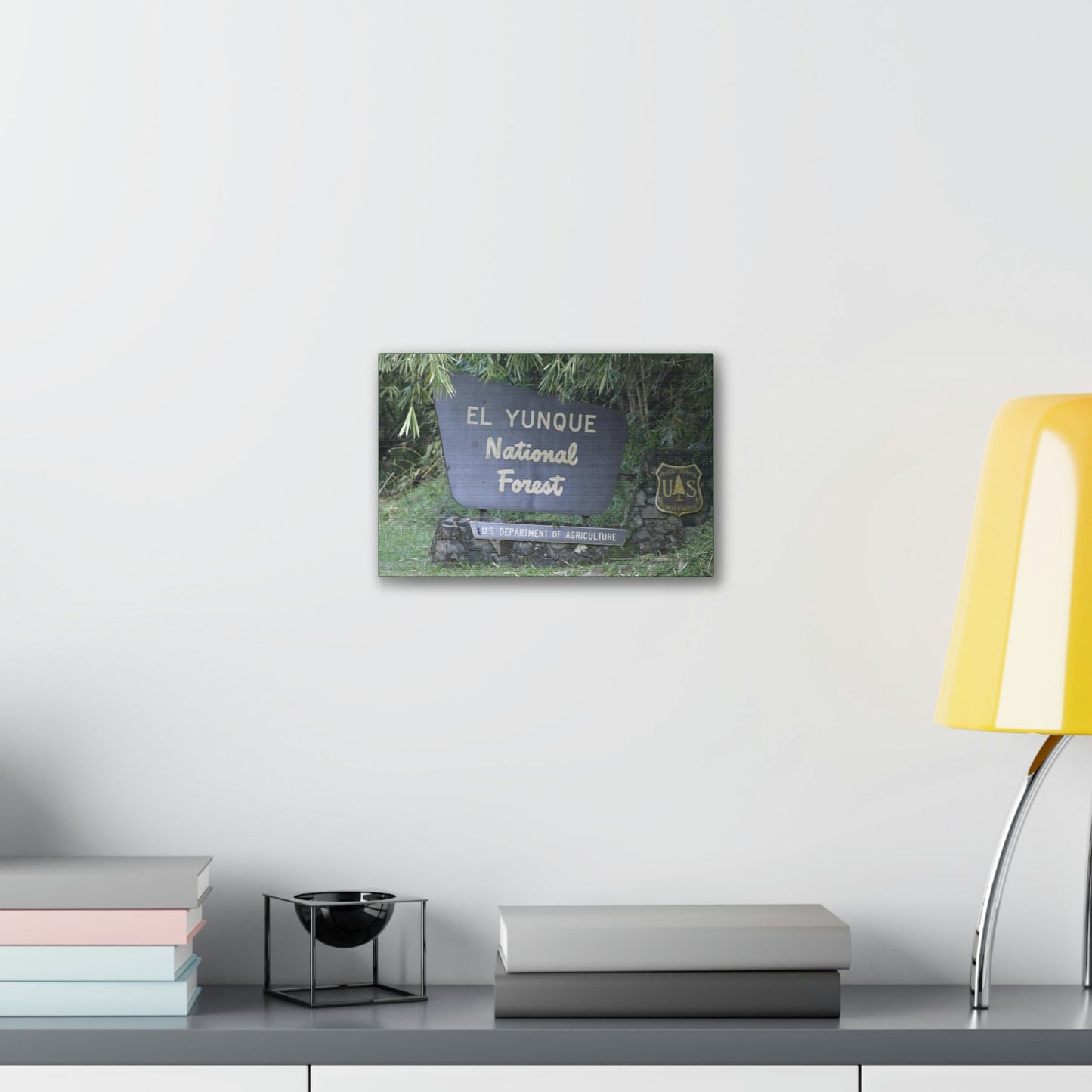 Deals on Thin Canvas - Stretched, 0.75" - Small Sizes Horizontal - Ideal for Wall Forest Mosaics - EYNF Entrance Sign - Rio Sabana Park - Green Forest Home