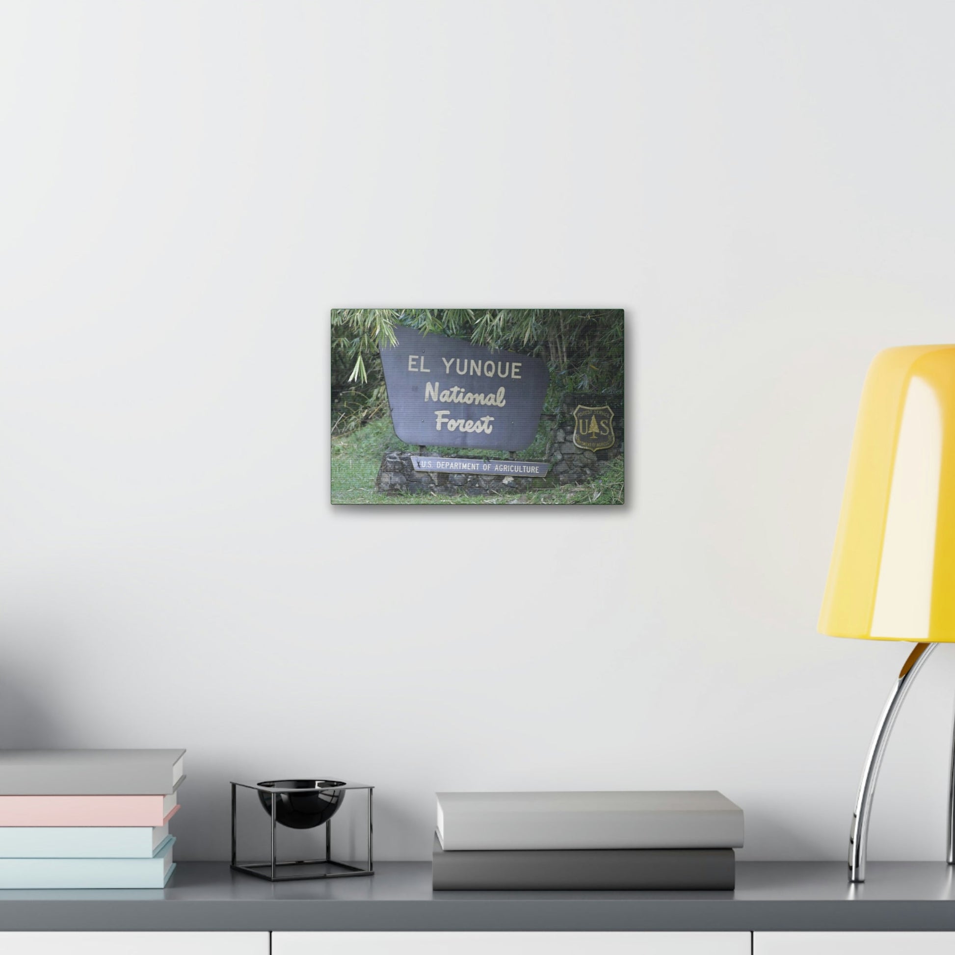 Deals on Thin Canvas - Stretched, 0.75" - Small Sizes Horizontal - Ideal for Wall Forest Mosaics - EYNF Entrance Sign - Rio Sabana Park - Green Forest Home
