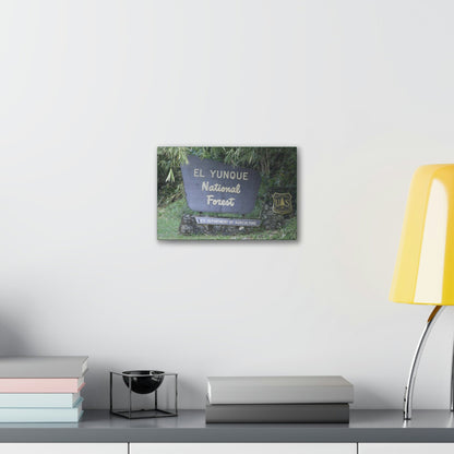 Deals on Thin Canvas - Stretched, 0.75" - Small Sizes Horizontal - Ideal for Wall Forest Mosaics - EYNF Entrance Sign - Rio Sabana Park - Green Forest Home