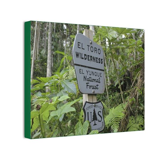 Deals on Thin Canvas - Stretched, 0.75" - Small Sizes Horizontal - Ideal for Wall Forest Mosaics - EYNF Rio Sabana Trail El Toro Wilderness - Green Forest Home