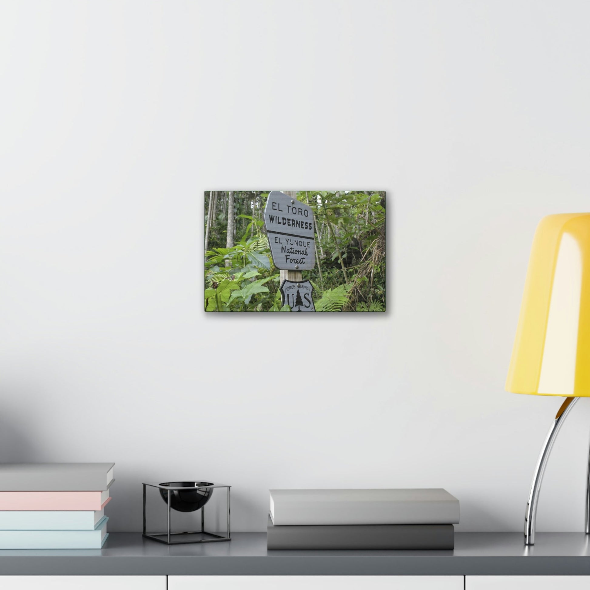 Deals on Thin Canvas - Stretched, 0.75" - Small Sizes Horizontal - Ideal for Wall Forest Mosaics - EYNF Rio Sabana Trail El Toro Wilderness - Green Forest Home