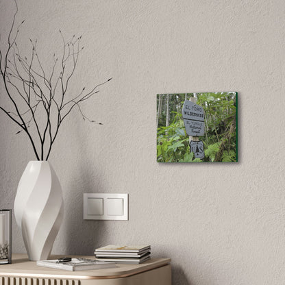 Deals on Thin Canvas - Stretched, 0.75" - Small Sizes Horizontal - Ideal for Wall Forest Mosaics - EYNF Rio Sabana Trail El Toro Wilderness - Green Forest Home