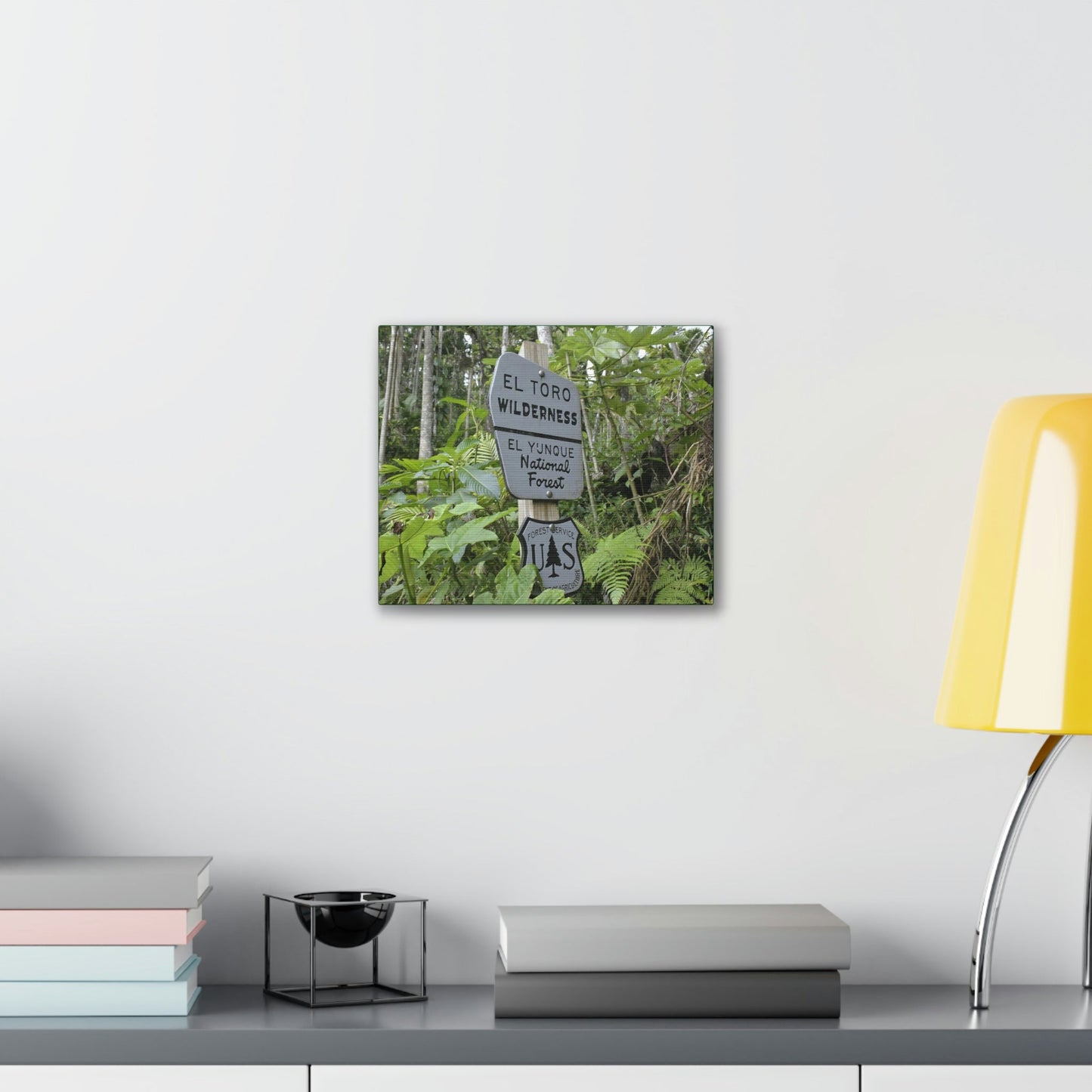 Deals on Thin Canvas - Stretched, 0.75" - Small Sizes Horizontal - Ideal for Wall Forest Mosaics - EYNF Rio Sabana Trail El Toro Wilderness - Green Forest Home