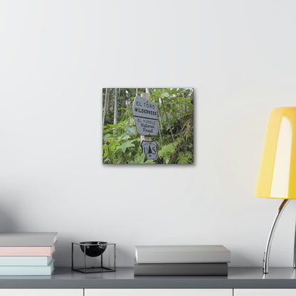 Deals on Thin Canvas - Stretched, 0.75" - Small Sizes Horizontal - Ideal for Wall Forest Mosaics - EYNF Rio Sabana Trail El Toro Wilderness - Green Forest Home