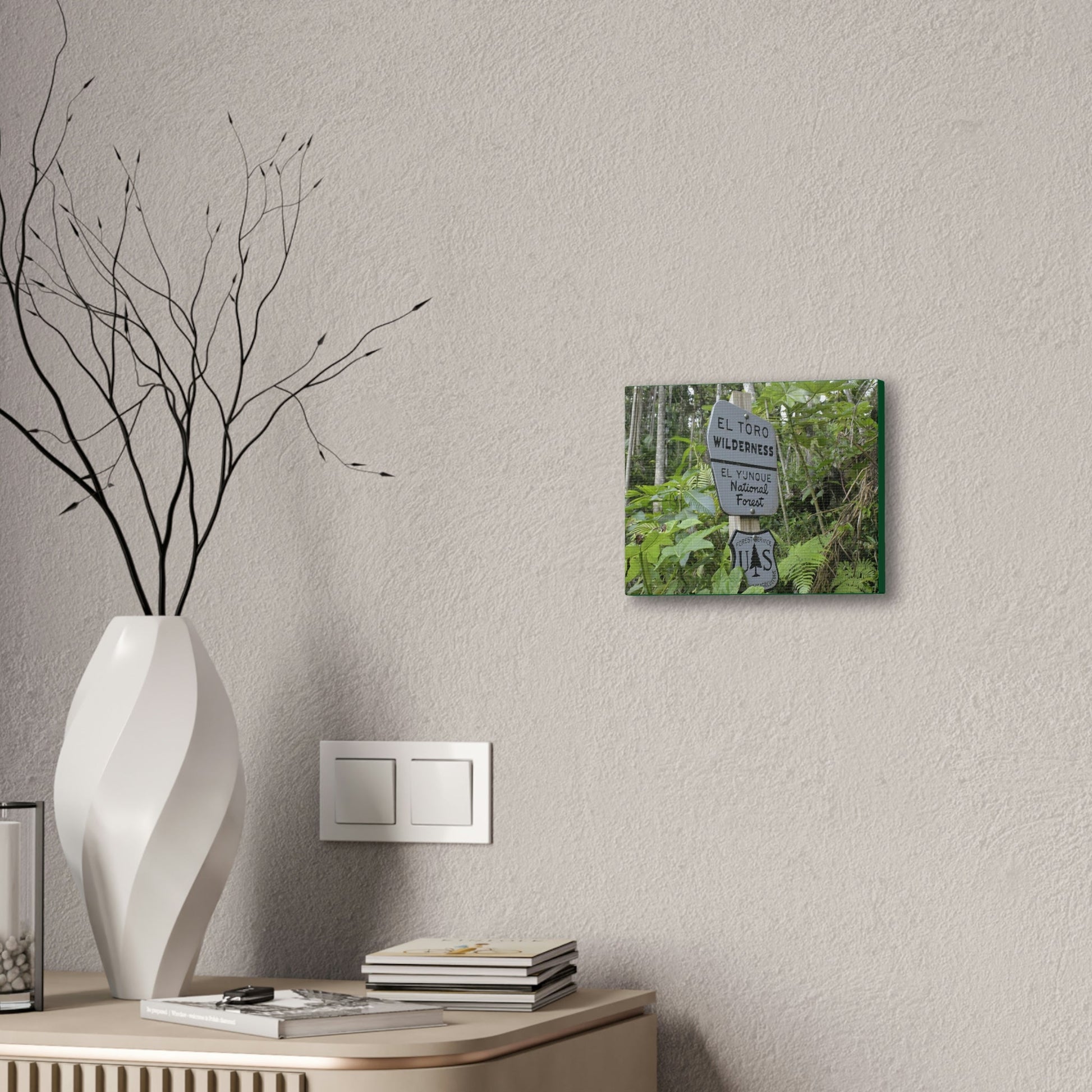 Deals on Thin Canvas - Stretched, 0.75" - Small Sizes Horizontal - Ideal for Wall Forest Mosaics - EYNF Rio Sabana Trail El Toro Wilderness - Green Forest Home