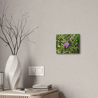 Deals on Thin Canvas - Stretched, 0.75" - Small Sizes Horizontal - Ideal for Wall Forest Mosaics - Flower in Foliage - Rio Sabana Park - Green Forest Home