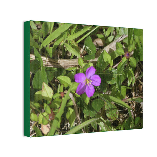 Deals on Thin Canvas - Stretched, 0.75" - Small Sizes Horizontal - Ideal for Wall Forest Mosaics - Flower in Foliage - Rio Sabana Park - Green Forest Home
